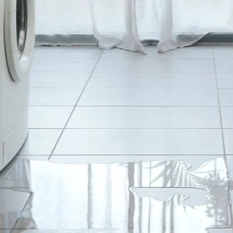 Appliance Leak Cleanup in Montgomery, AL